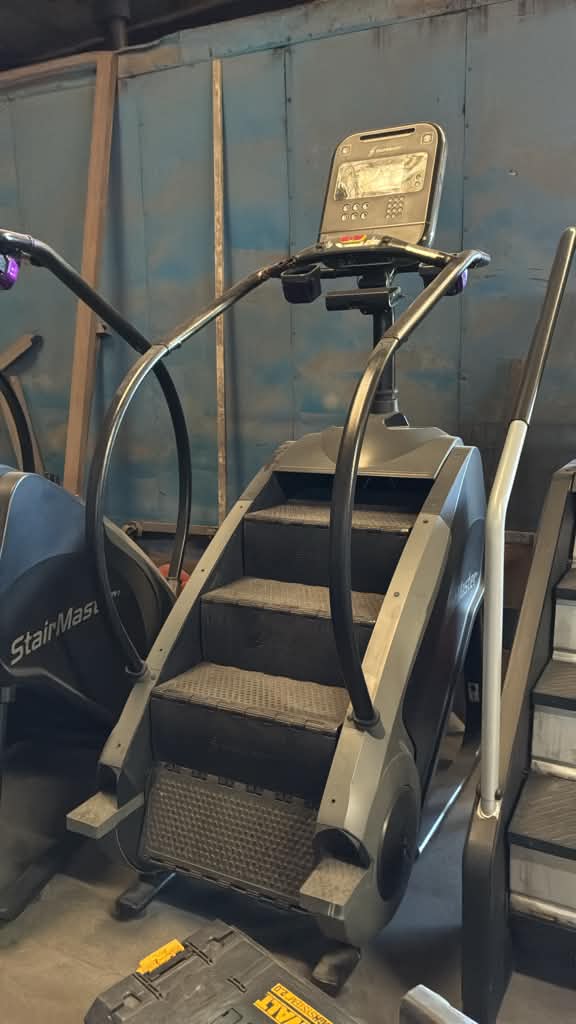 Example 2 of professional gym equipment