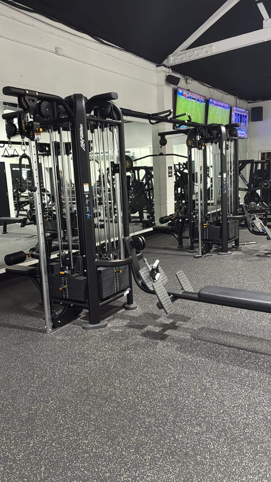 Example 36 of professional gym equipment