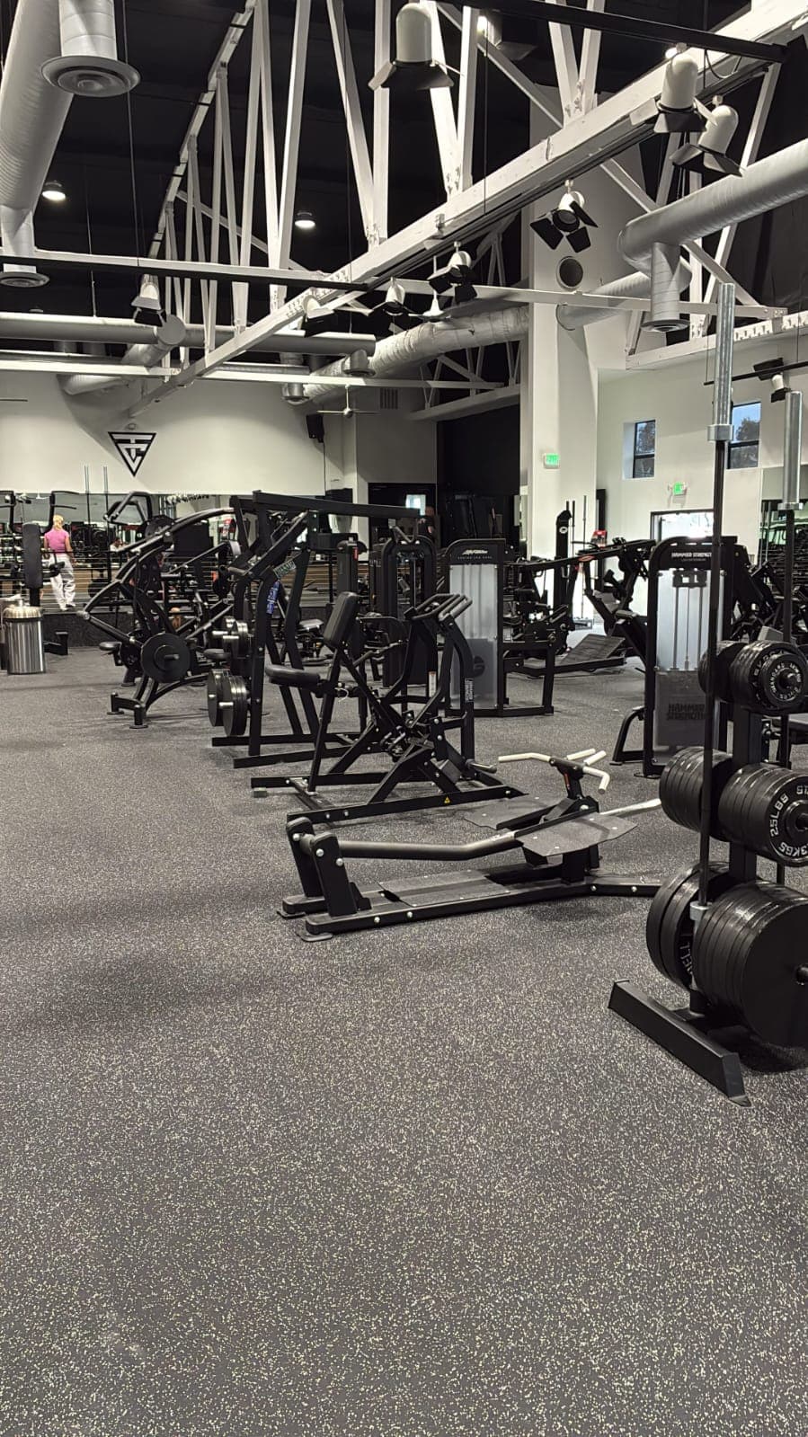 Example 39 of professional gym equipment