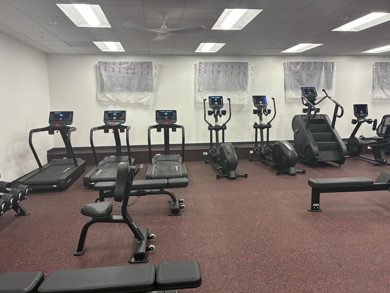 Example 43 of professional gym equipment